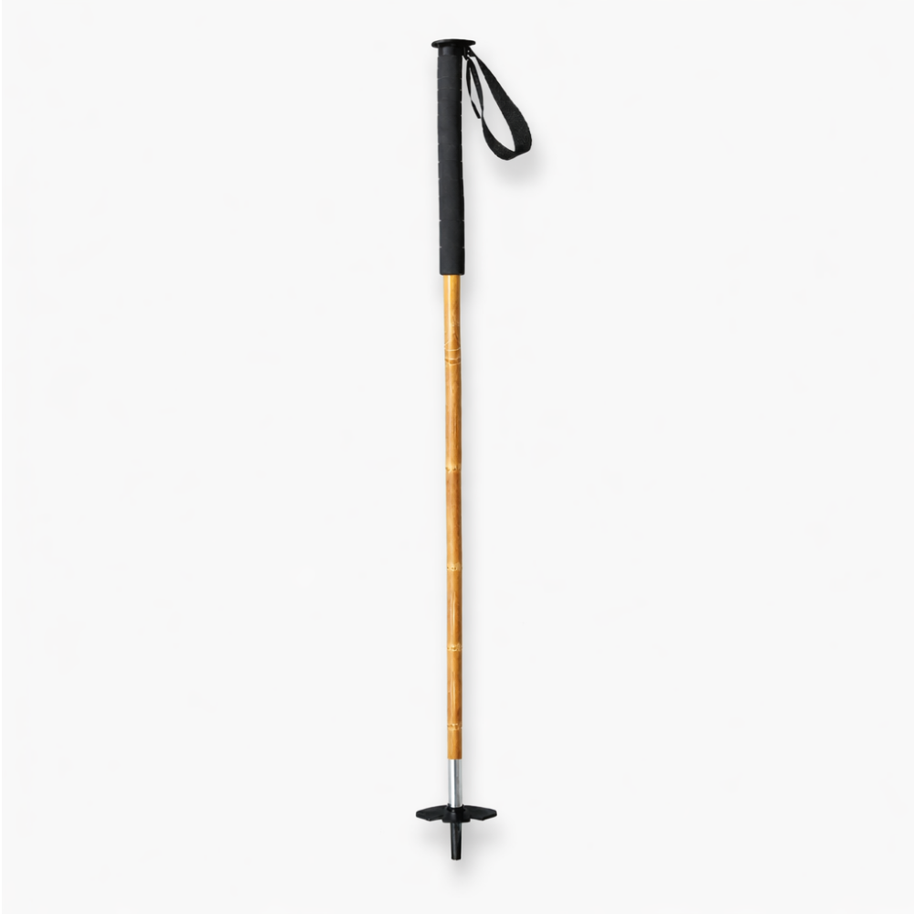 Glacier Alpine Ski Pole - black